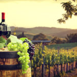 Star Beverages Vineyard