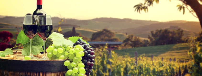Star Beverages Vineyard